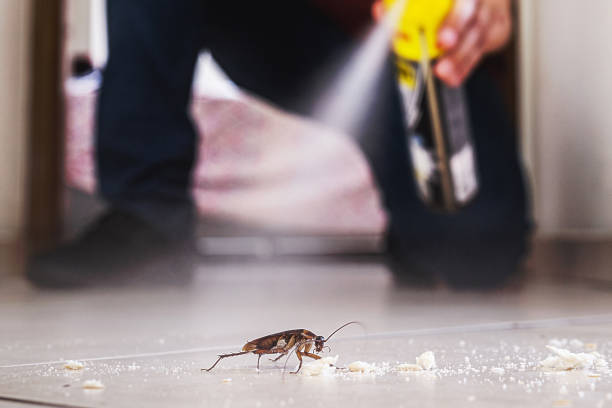 Best Pest Control Near Me in Cleveland, TX