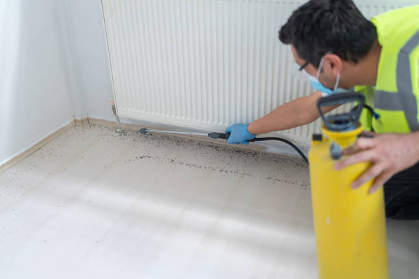 Best Local Pest Control Services  in Cleveland, TX