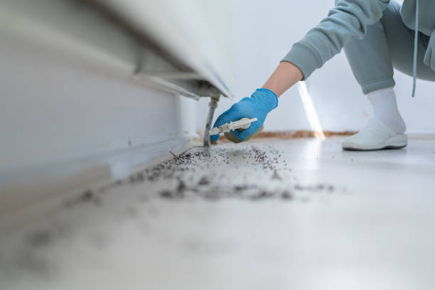 Professional Pest Control in Cleveland, TX