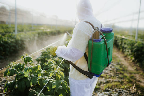 Best Termite Control Services  in Cleveland, TX